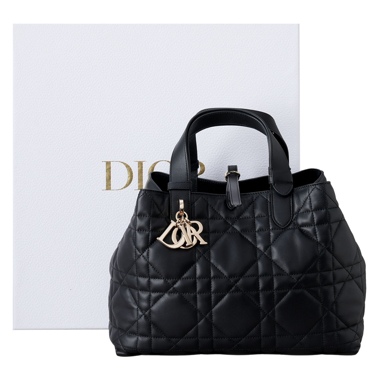 CHRISTIAN DIOR(USED)디올 뚜주흐 미디엄 백